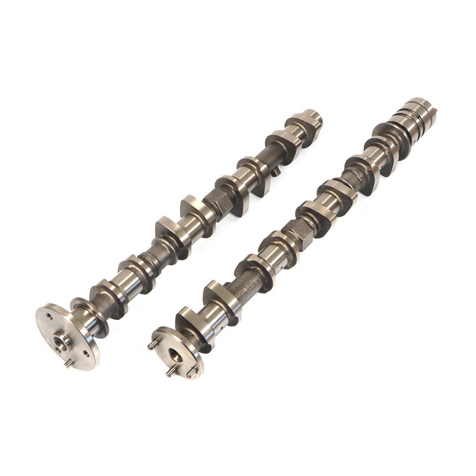 KIT ALBERI A CAMMES (ASP+SCAR)