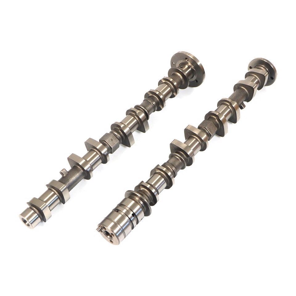 KIT ALBERI A CAMMES (ASP+SCAR)