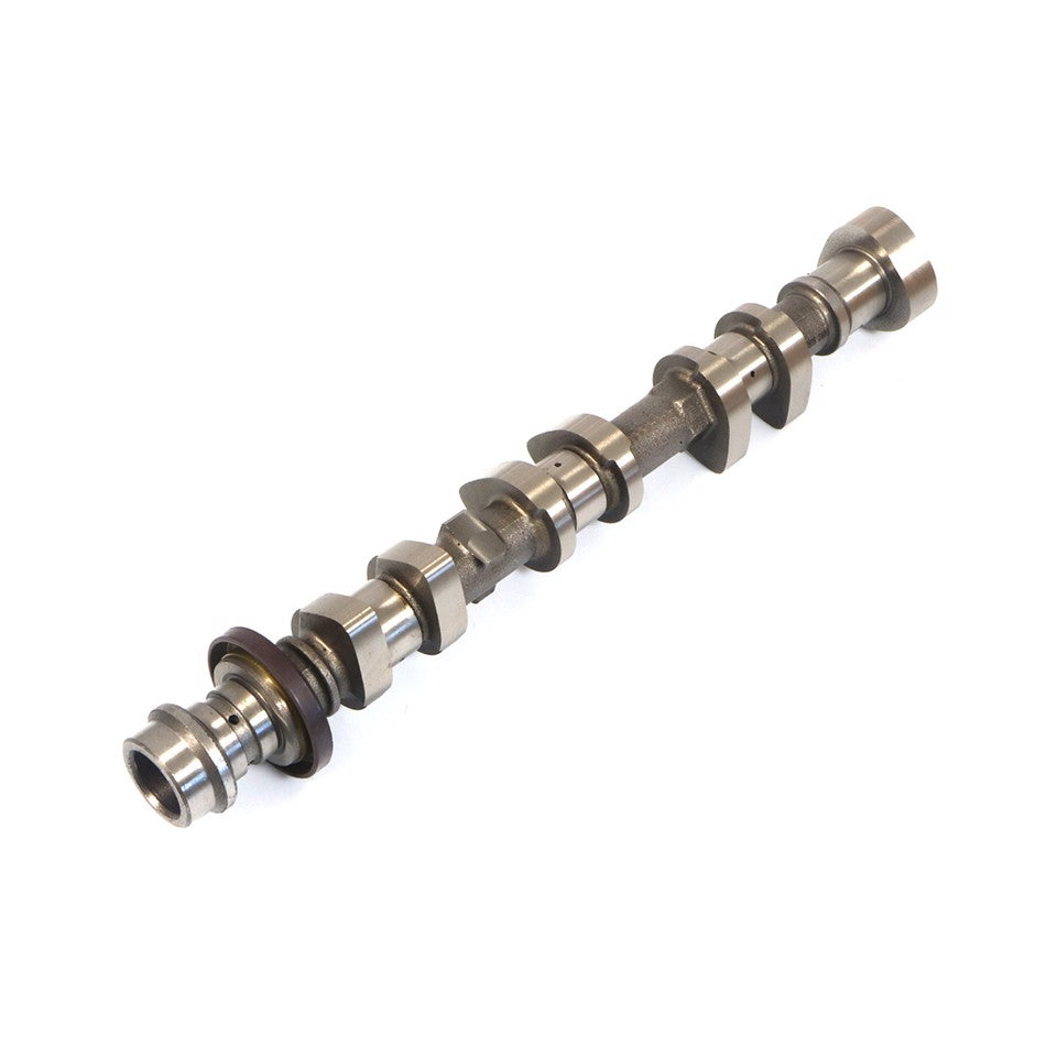 ALBERO A CAMMES ASPIRAZIONE