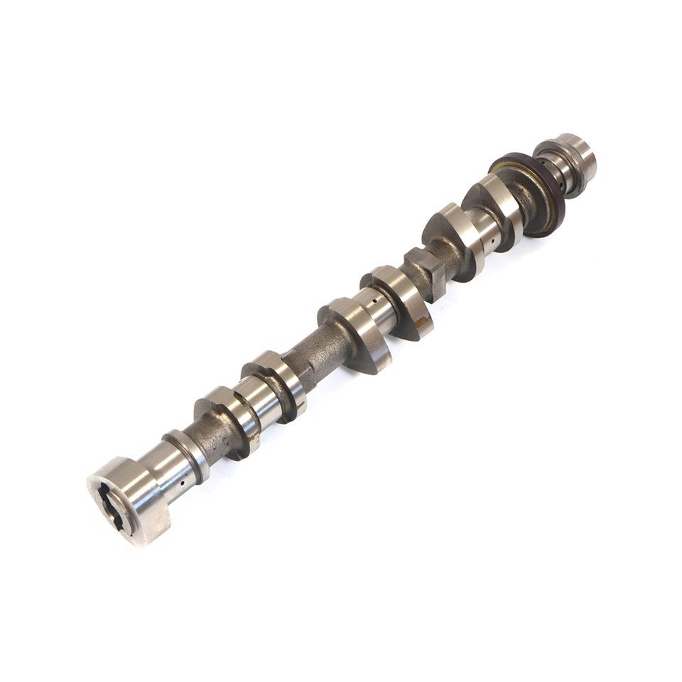 ALBERO A CAMMES ASPIRAZIONE