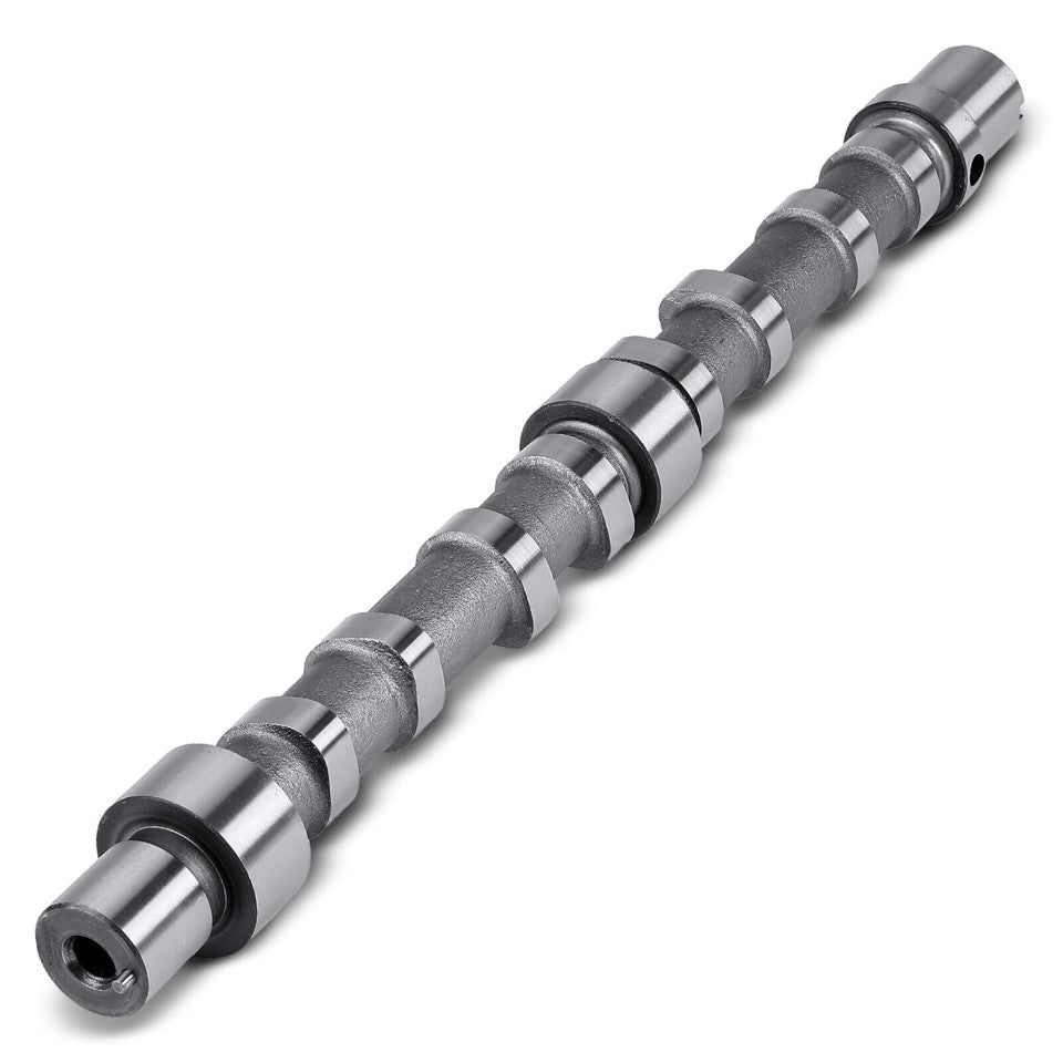 ALBERO A CAMMES ASPIRAZIONE