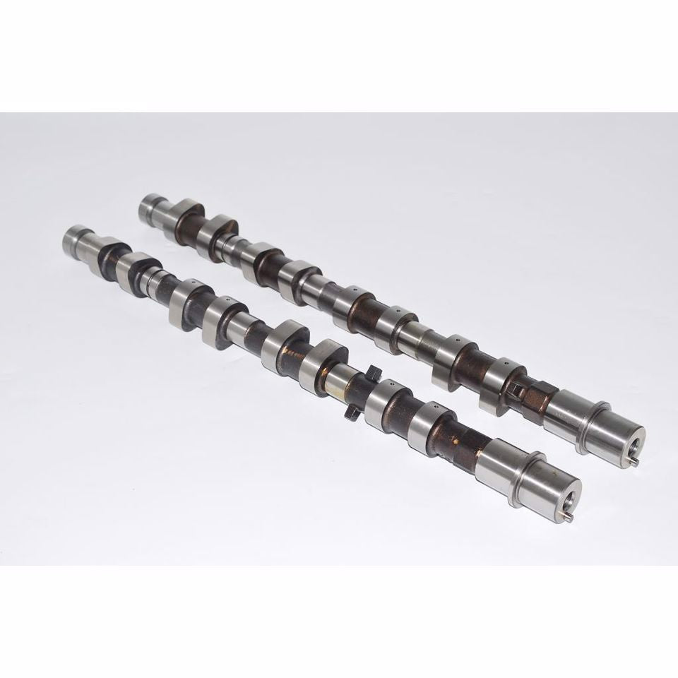 KIT ALBERI A CAMMES (ASP+SCAR)