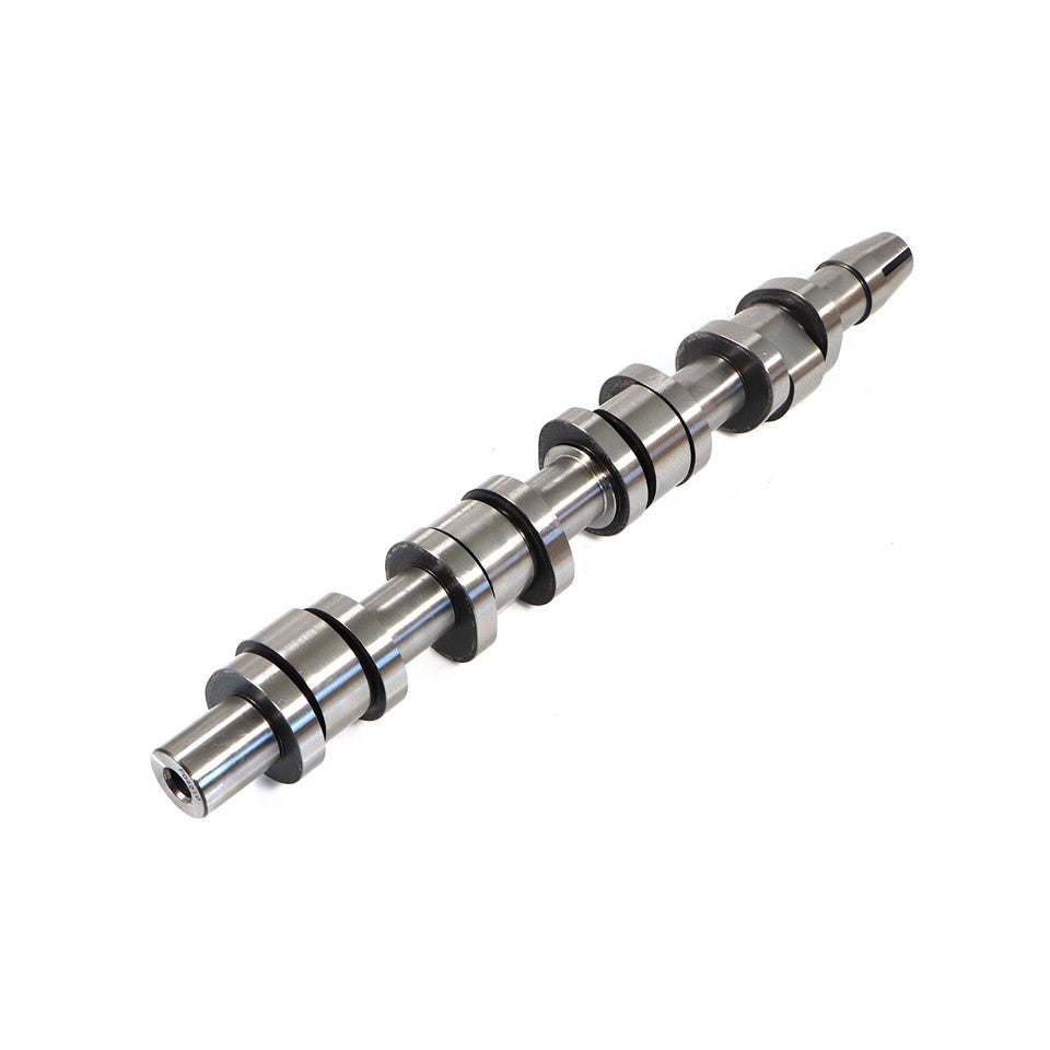 ALBERO A CAMMES SCARICO