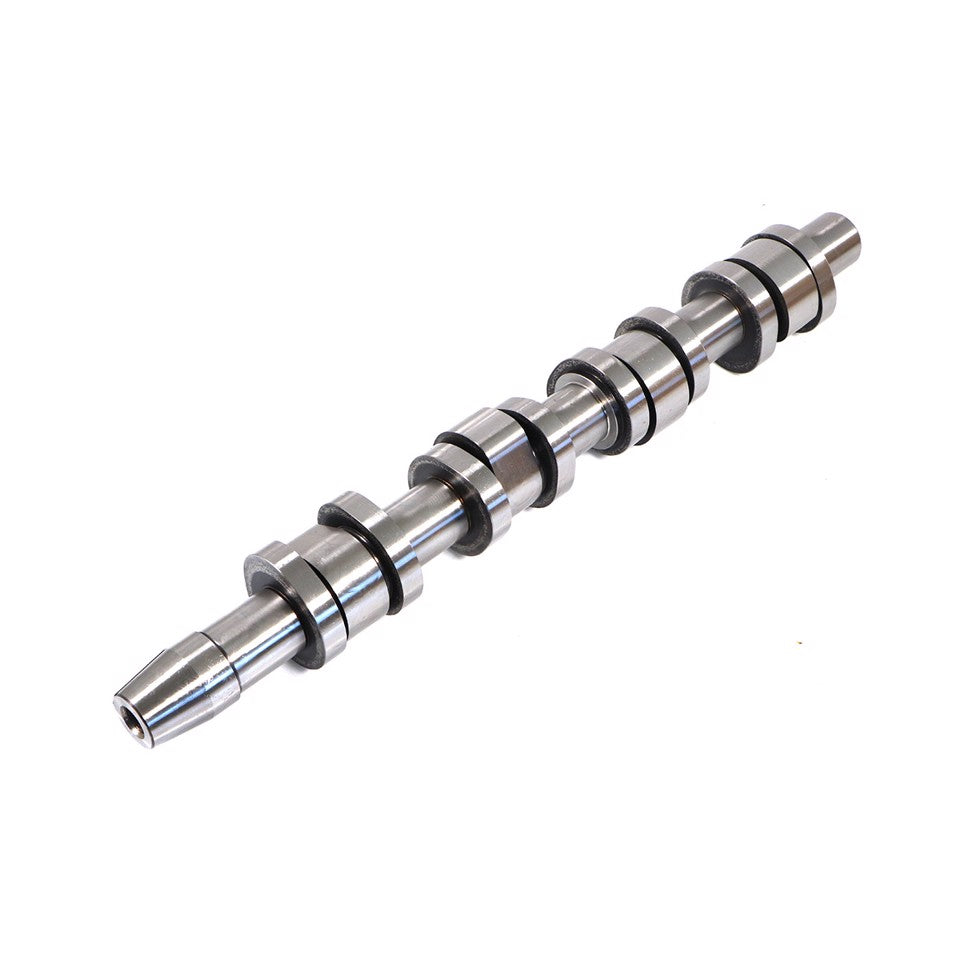 ALBERO A CAMMES SCARICO