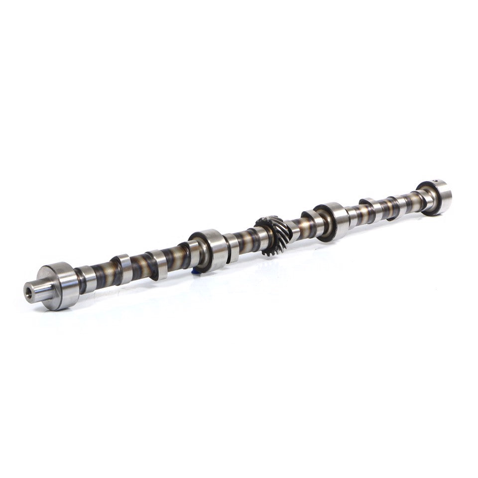 ALBERO A CAMMES (EQUIVALENTE COMMERCIALE)