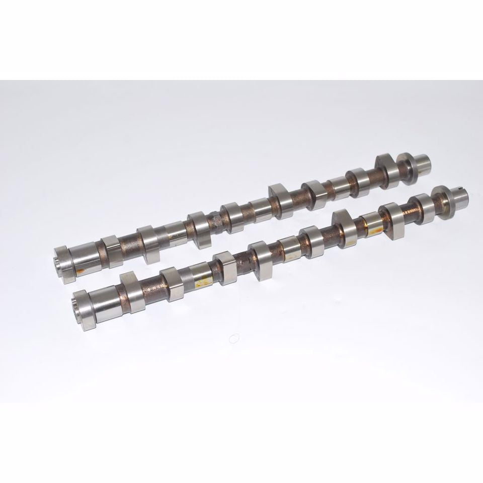 KIT ALBERI A CAMMES (ASP+SCAR)