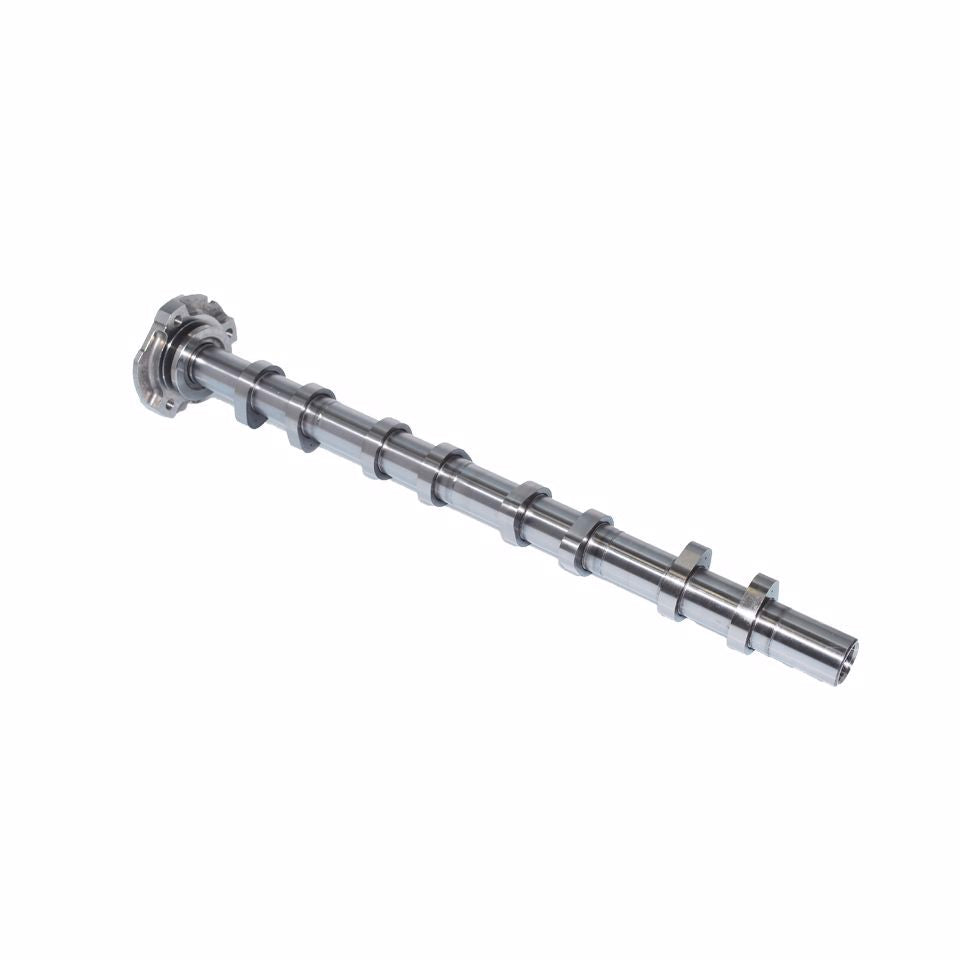 ALBERO A CAMMES ASPIRAZIONE