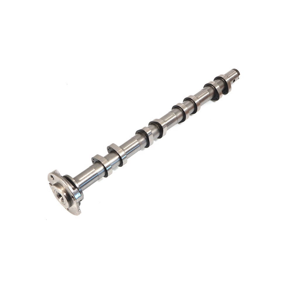 ALBERO A CAMMES SCARICO