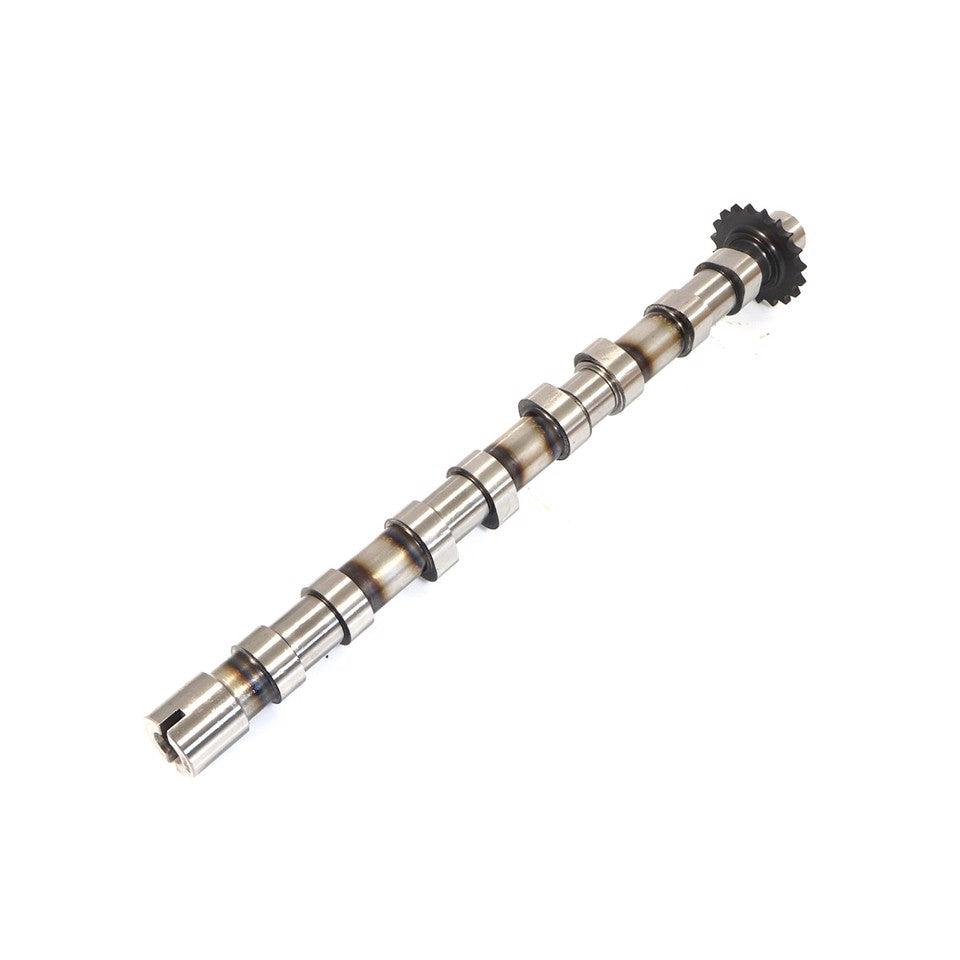 ALBERO A CAMMES ASPIRAZIONE