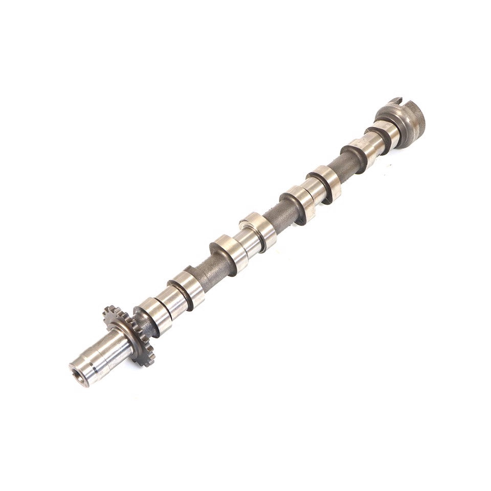 ALBERO A CAMMES SCARICO