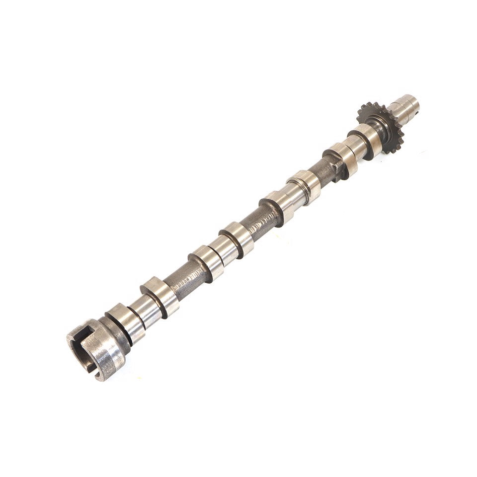 ALBERO A CAMMES SCARICO