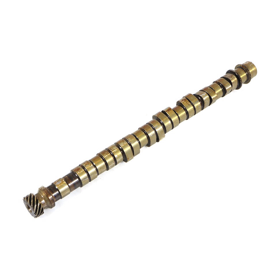 ALBERO A CAMMES (EQUIVALENTE COMMERCIALE)