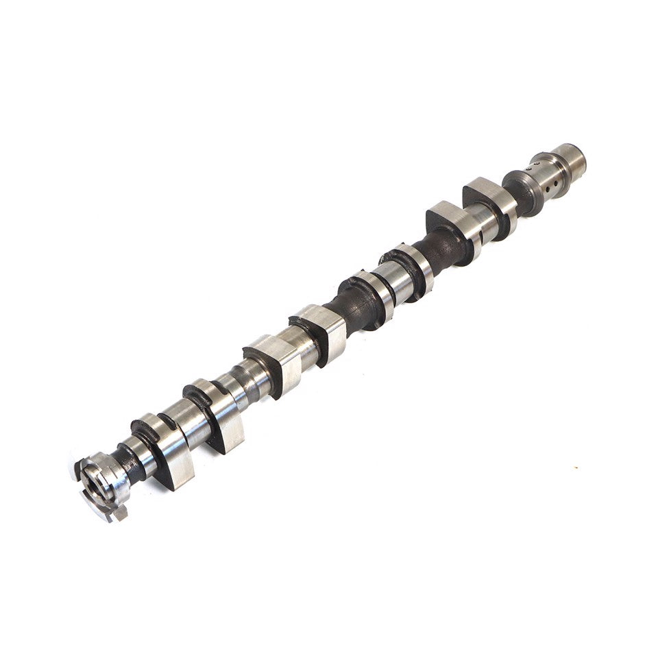 ALBERO A CAMMES SCARICO