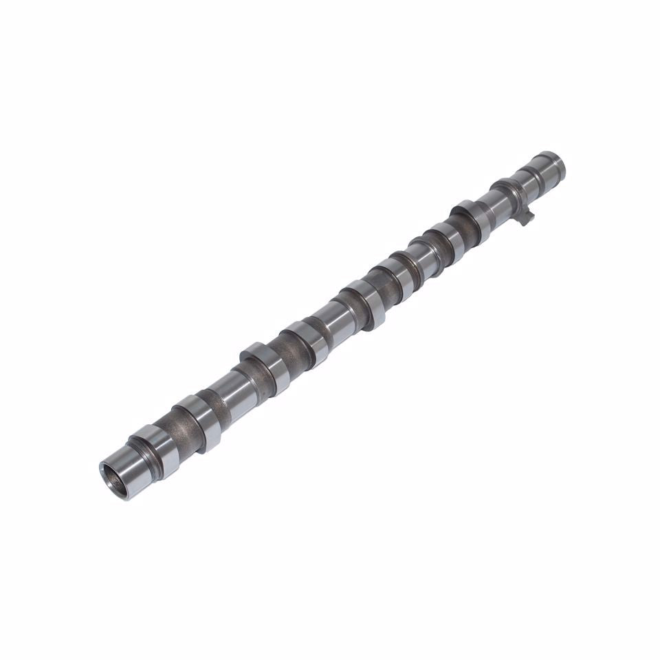 ALBERO A CAMMES ASPIRAZIONE