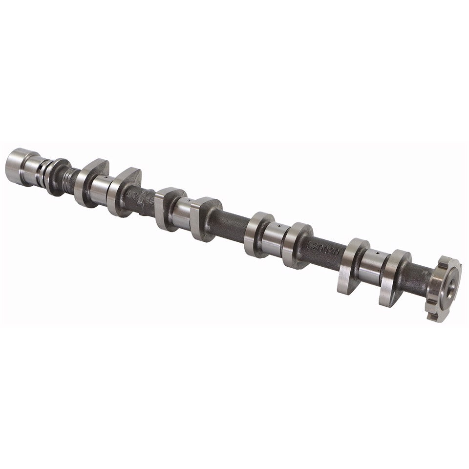 ALBERO A CAMMES ASPIRAZIONE