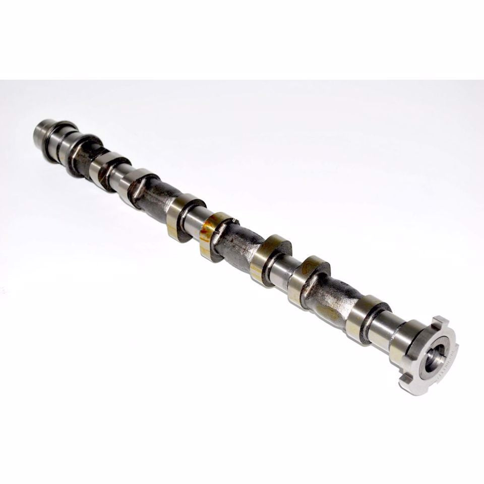 ALBERO A CAMMES ASPIRAZIONE