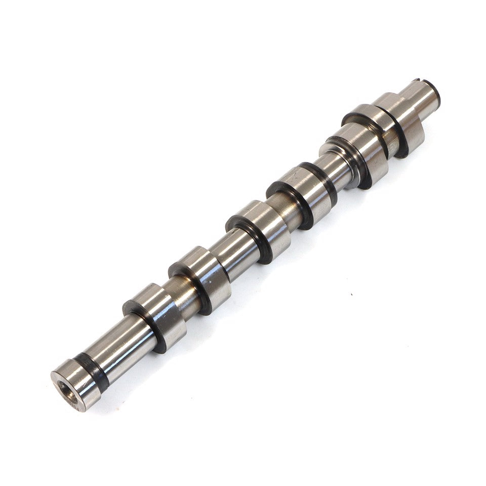 ALBERO A CAMMES ASPIRAZIONE