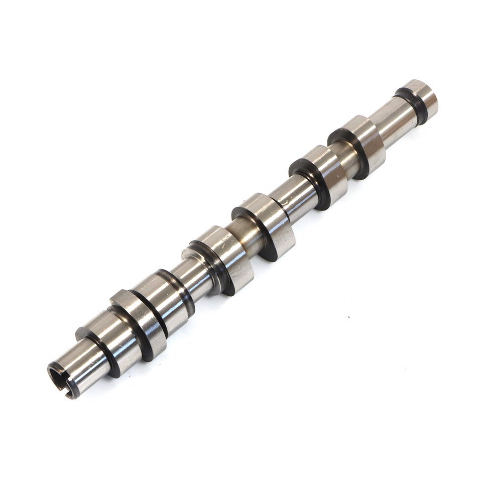 ALBERO A CAMMES ASPIRAZIONE