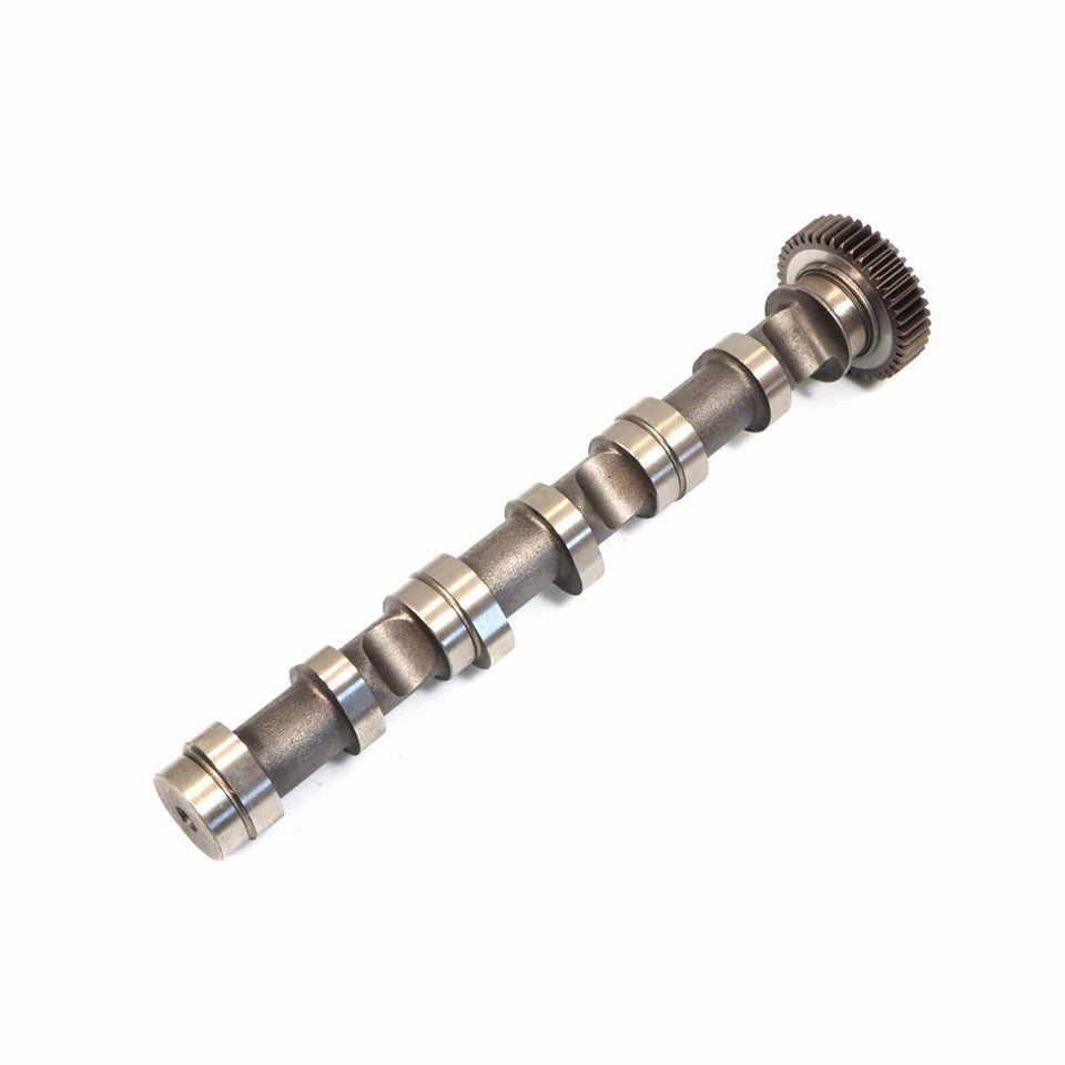 ALBERO A CAMMES ASPIRAZIONE