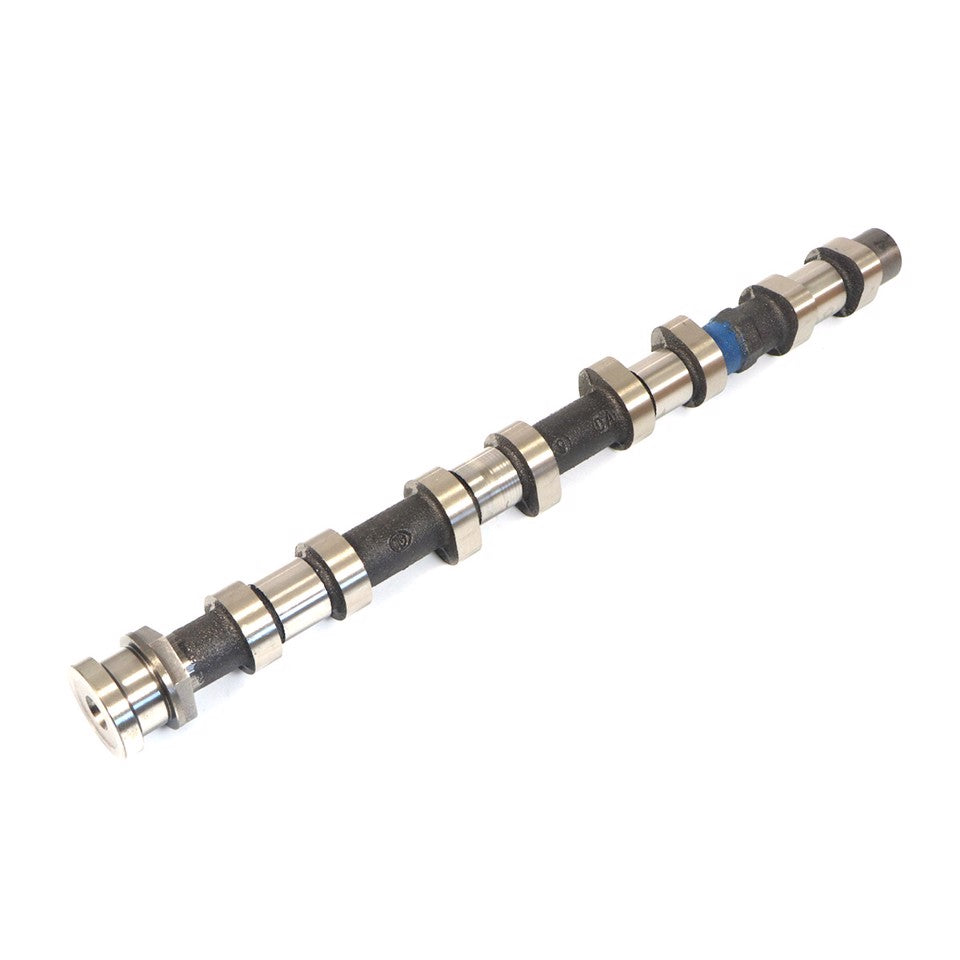 ALBERO A CAMMES ASPIRAZIONE (PREMIUM)