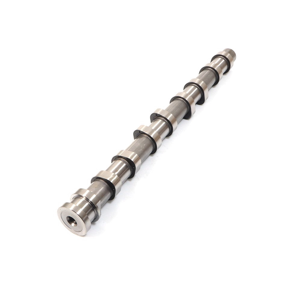 ALBERO A CAMMES ASPIRAZIONE