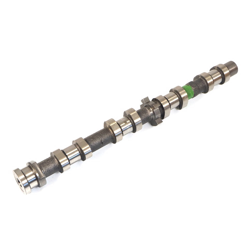 ALBERO A CAMMES SCARICO (PREMIUM)