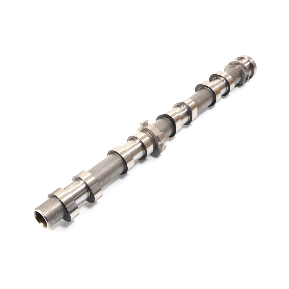 ALBERO A CAMMES SCARICO