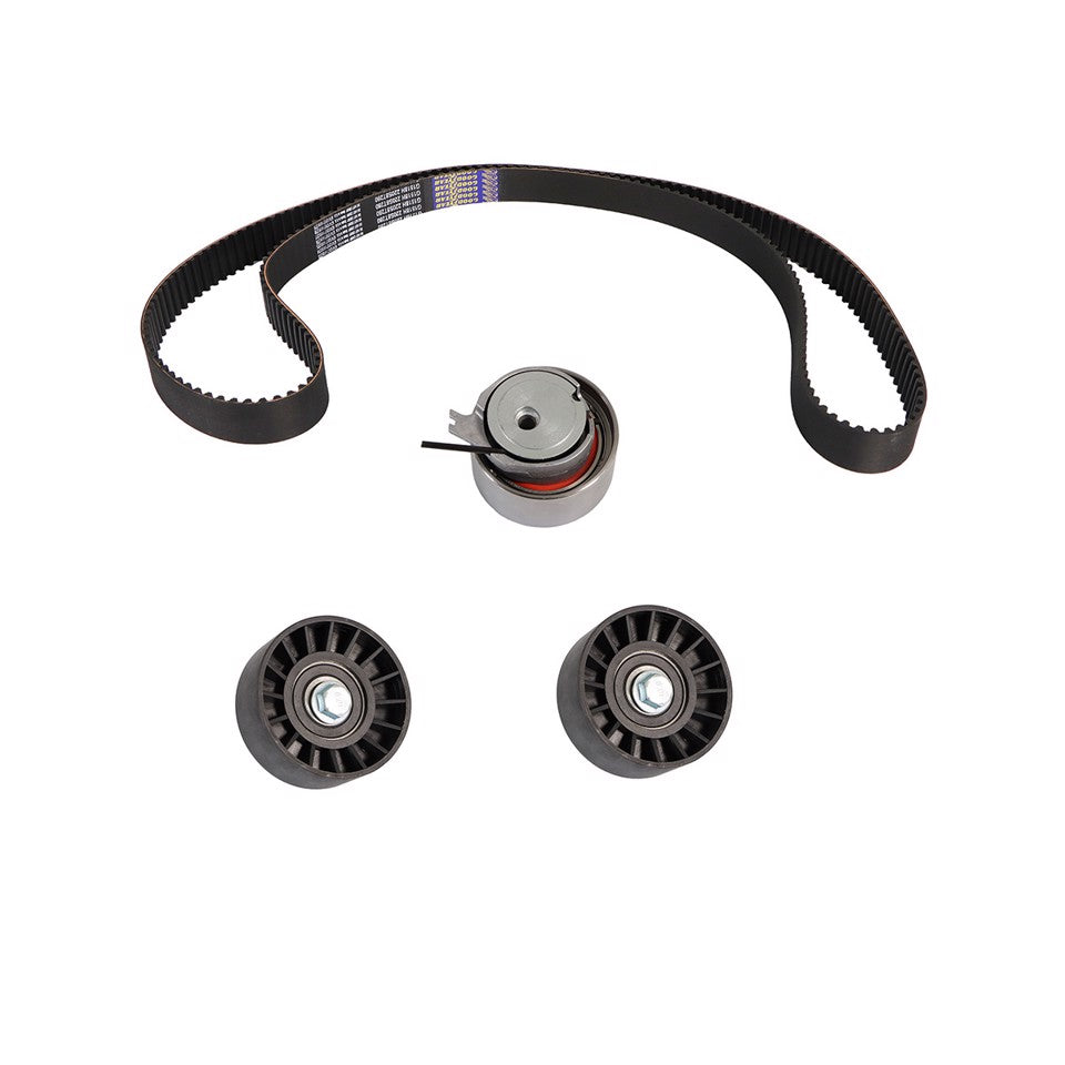 KIT CINGHIA TENDICINGHIA DISTRIBUZIONE