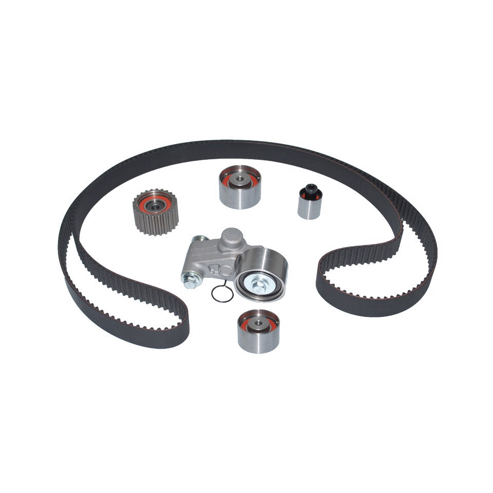 KIT CINGHIA TENDICINGHIA DISTRIBUZIONE