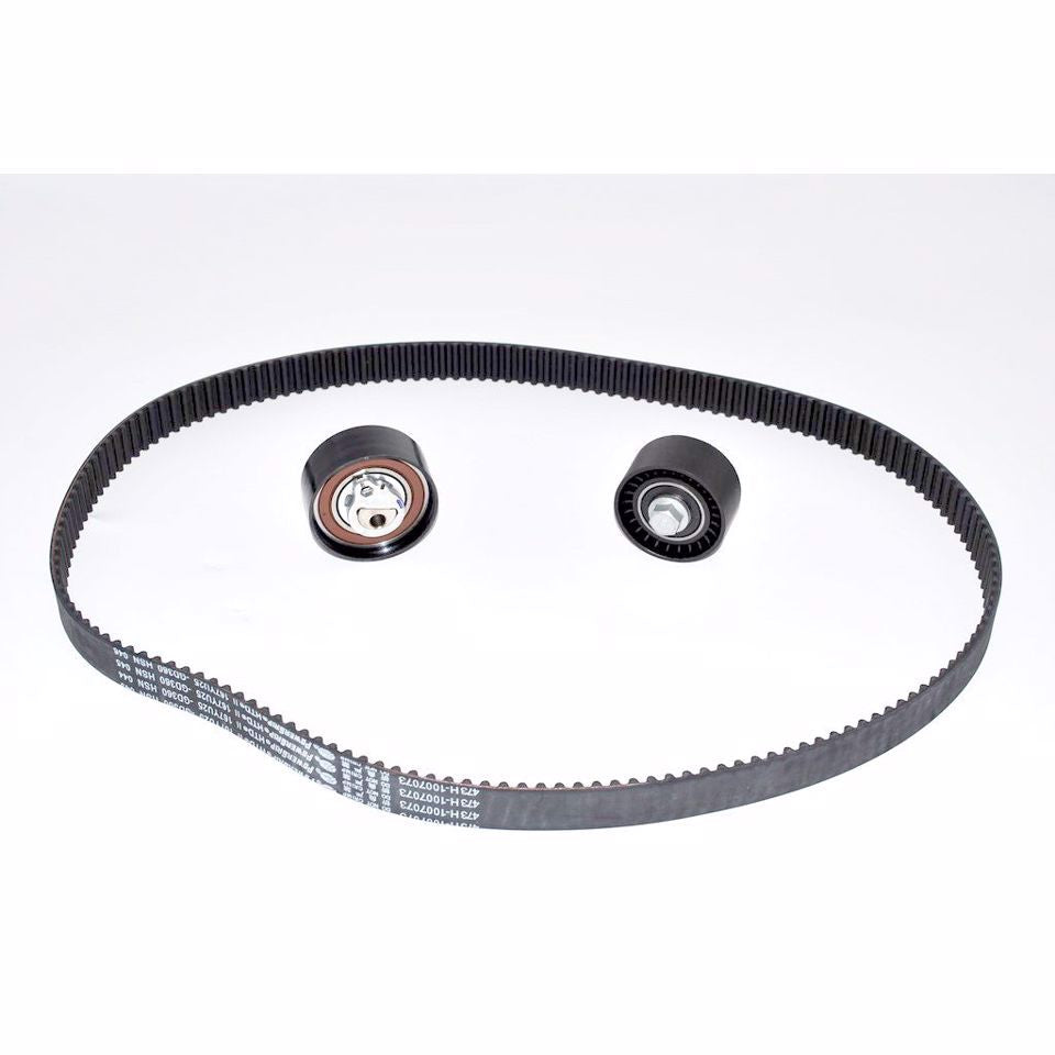 KIT CINGHIA TENDICINGHIA DISTRIBUZIONE