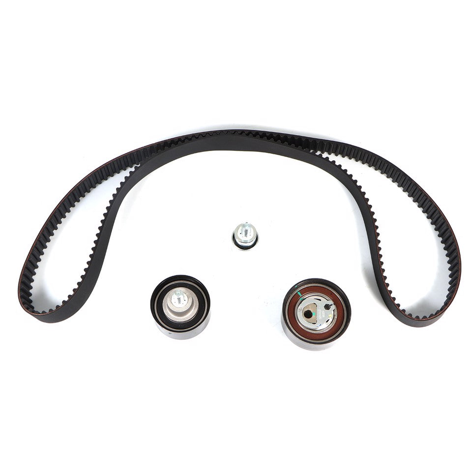 KIT CINGHIA TENDICINGHIA DISTRIBUZIONE (PREMIUM)