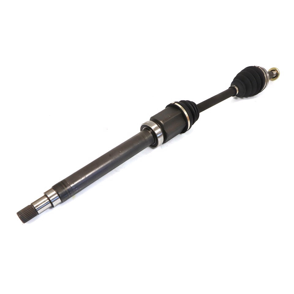 SEMIASSE ANTERIORE DX