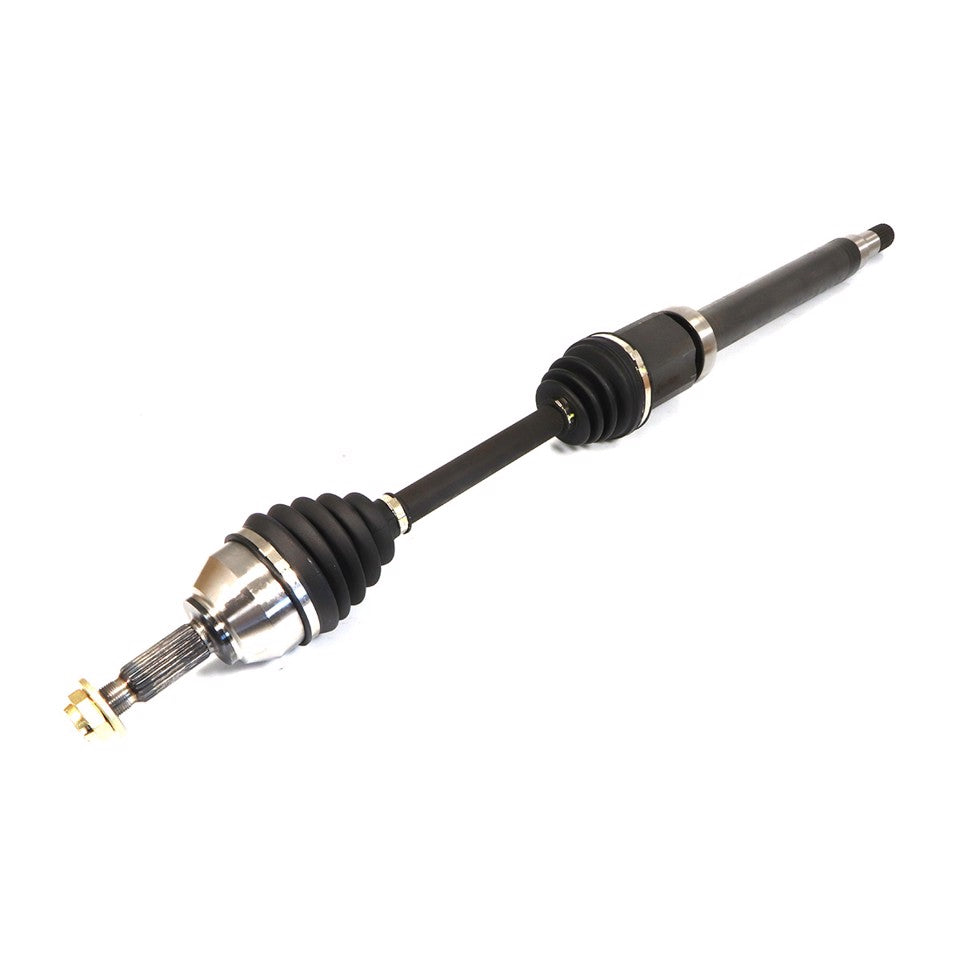 SEMIASSE ANTERIORE DX