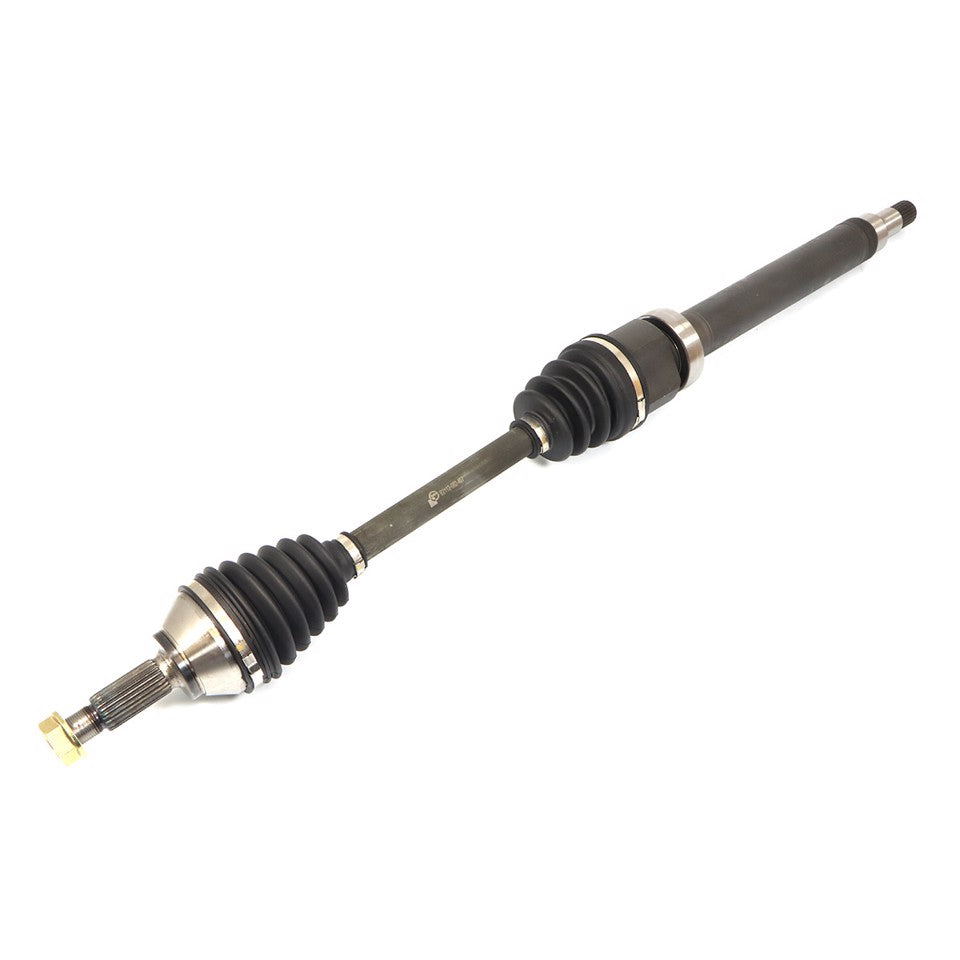 SEMIASSE ANTERIORE DX