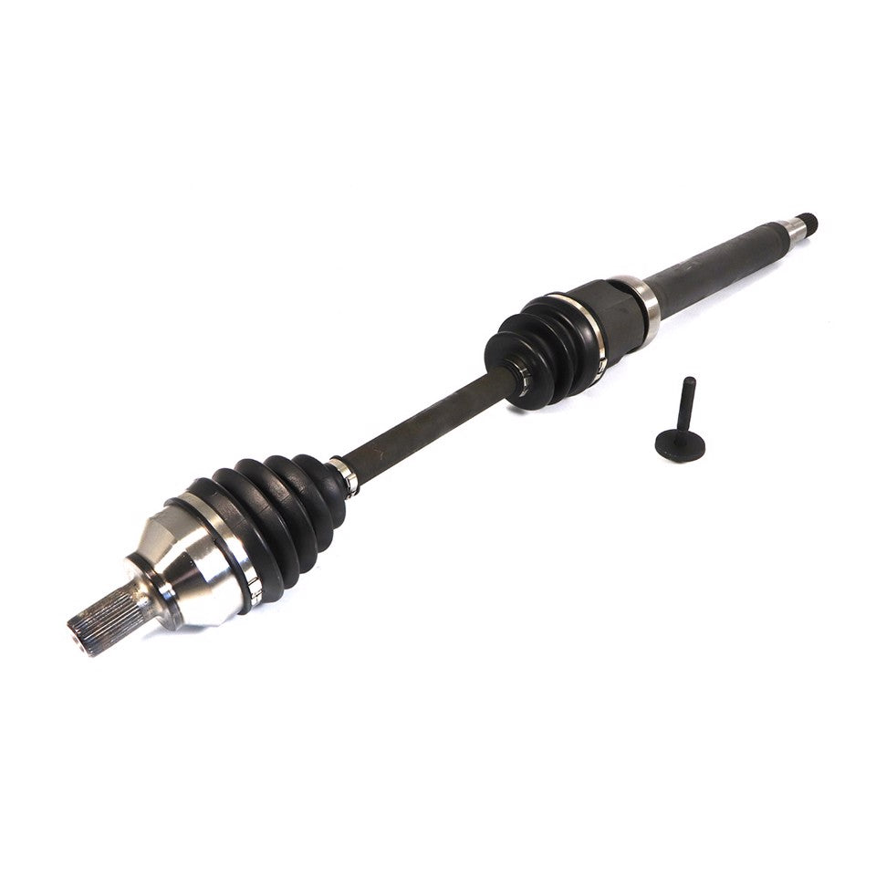 SEMIASSE ANTERIORE DX