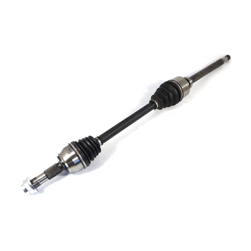 SEMIASSE ANTERIORE DX