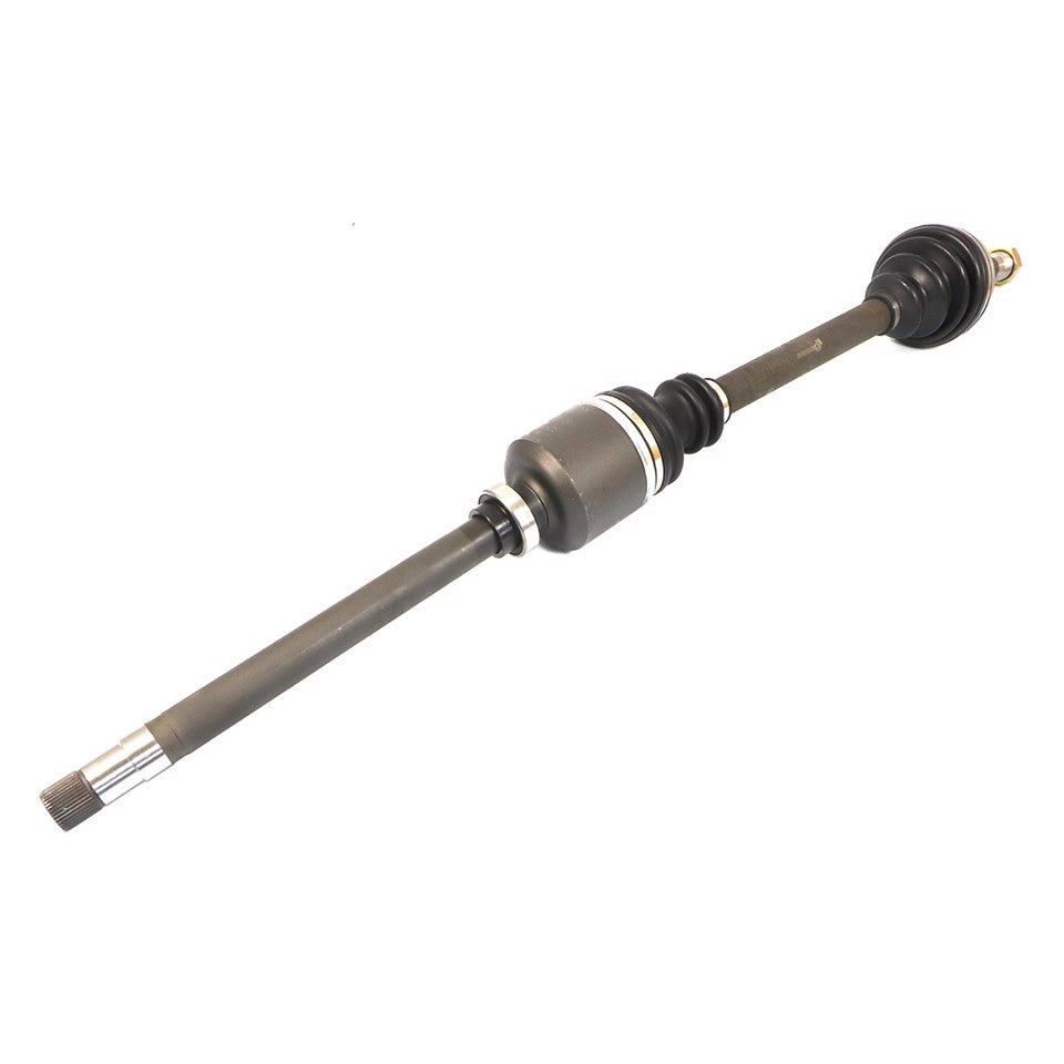 SEMIASSE ANTERIORE DX