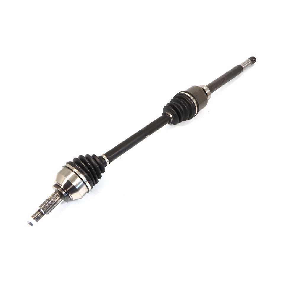 SEMIASSE ANTERIORE DX