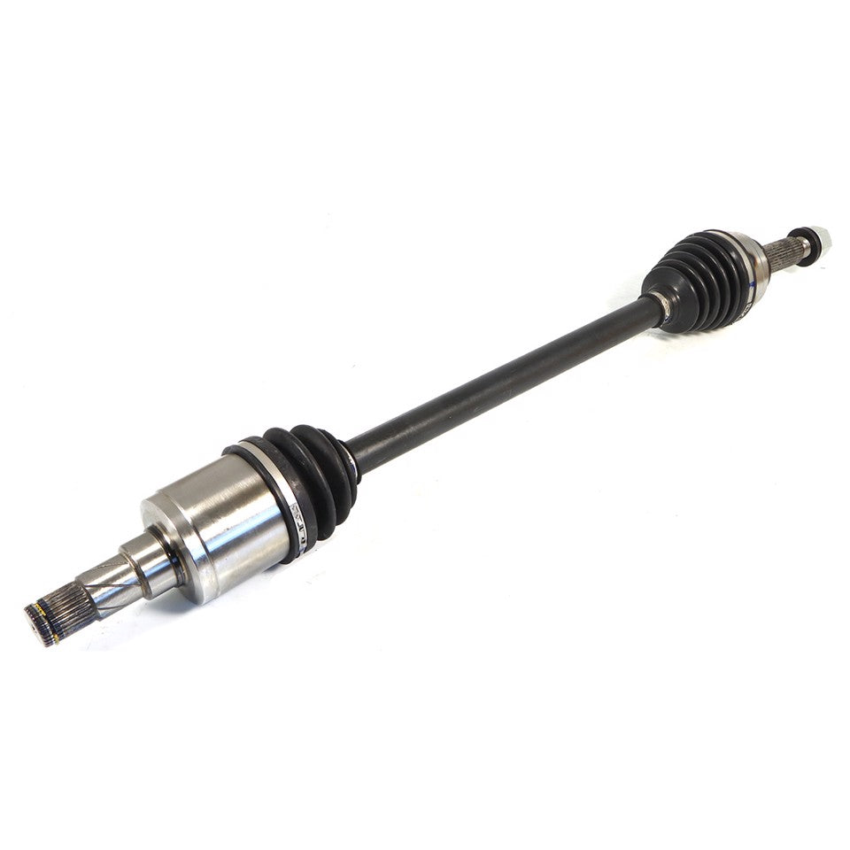 SEMIASSE POSTERIORE DX/SX