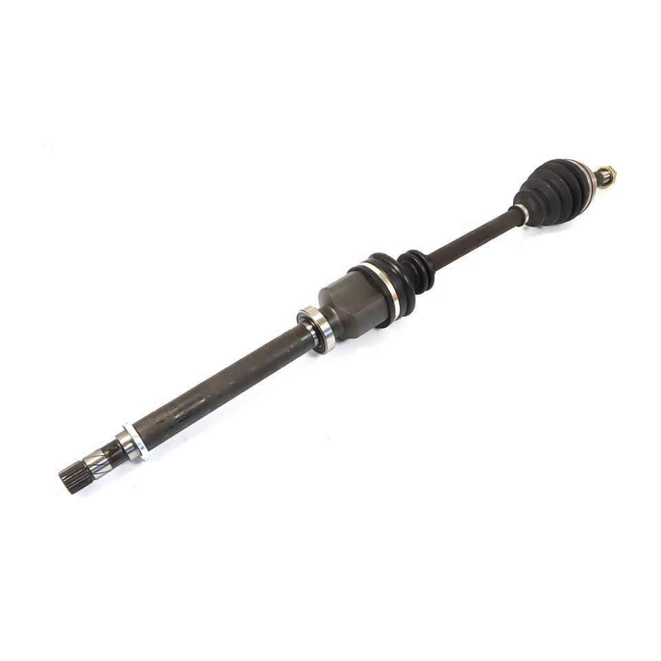 SEMIASSE ANTERIORE DX