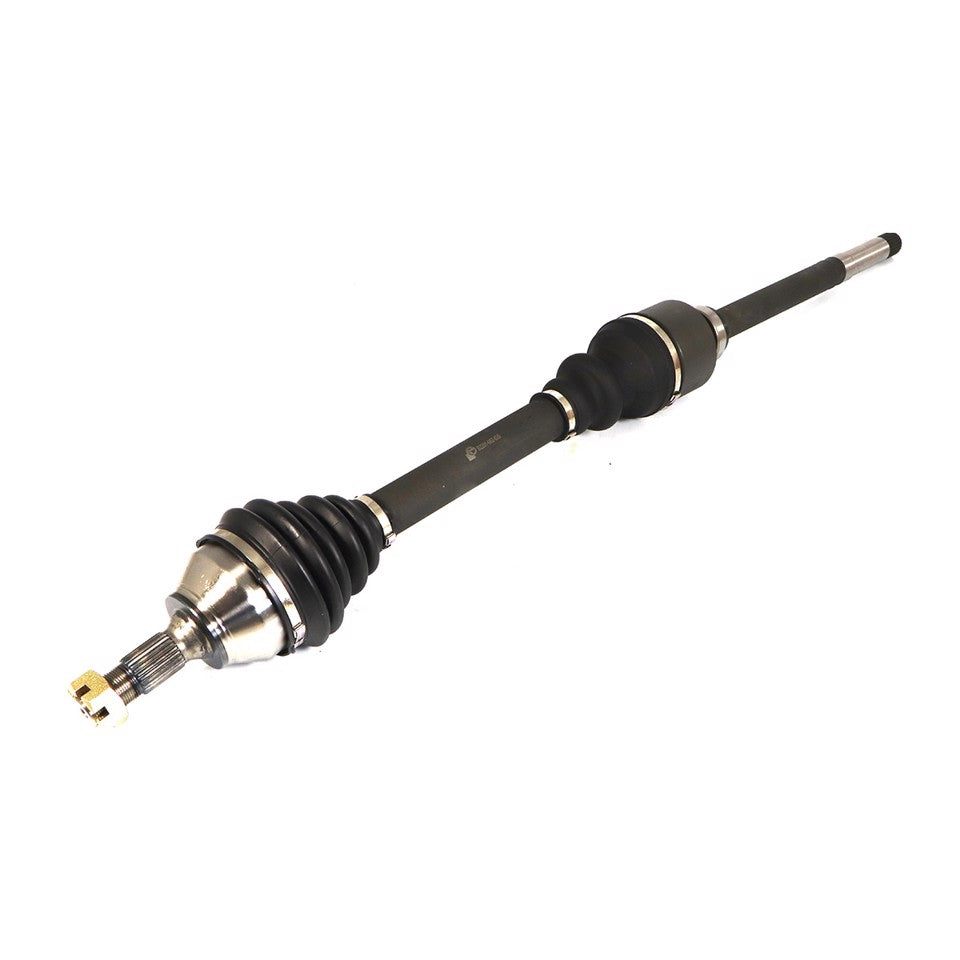 SEMIASSE ANTERIORE DX