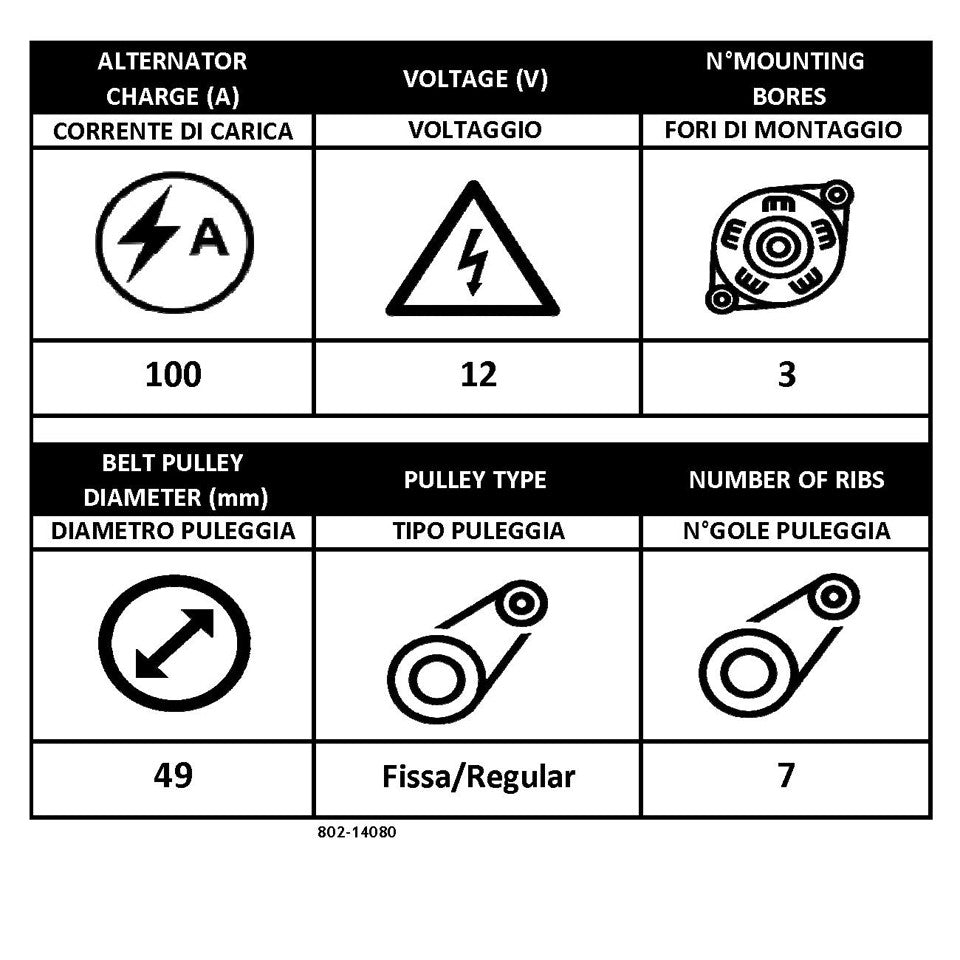ALTERNATORE 100A